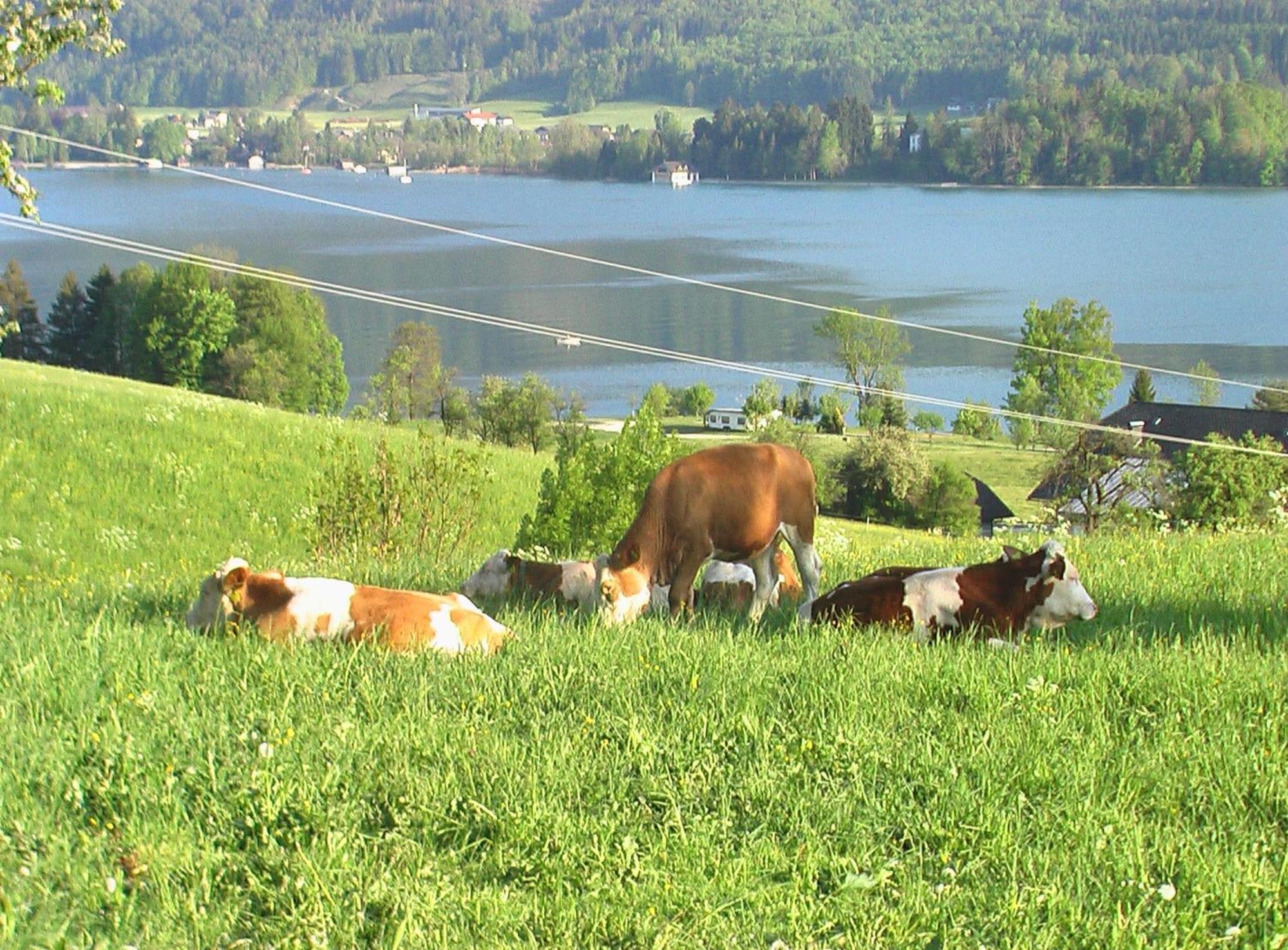 Hauslhof Sankt Wolfgang im Salzkammergut Exterior foto